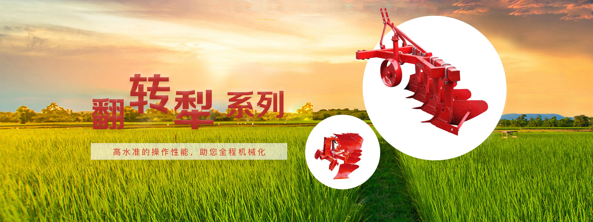 常青農(nóng)業(yè)